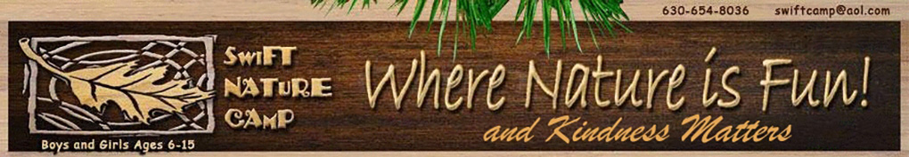 Swift Nature Camp: Wisconsin summer camps for teens